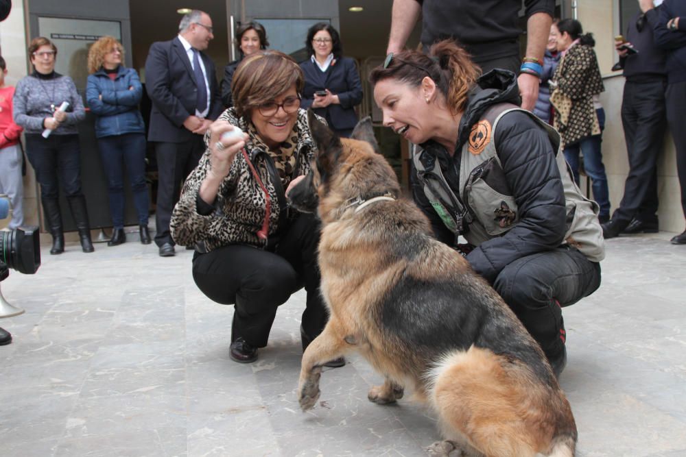 Exhibición canina en la Asamblea regional