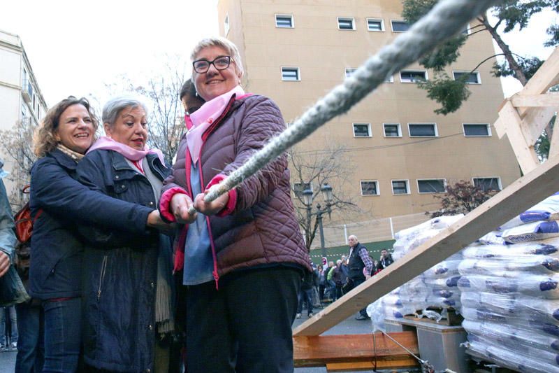 Plantà al tombe de la falla Palleter-Erudito de Orellana