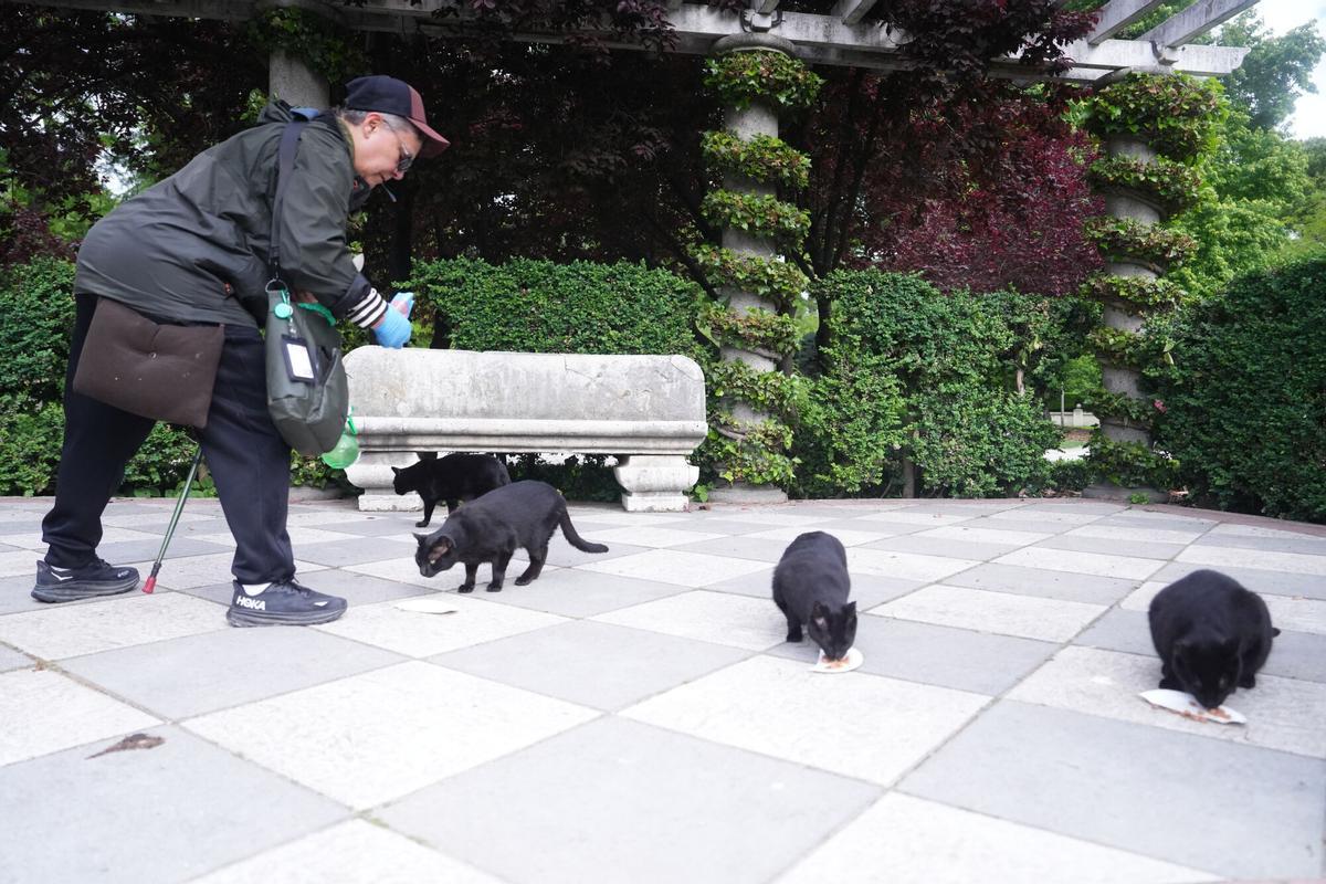 2026/05/05.Foto Xavier Amado. Parque del Retiro, colonia de gatos  Mercedes Agar y Estrella cuidadoras de gatos