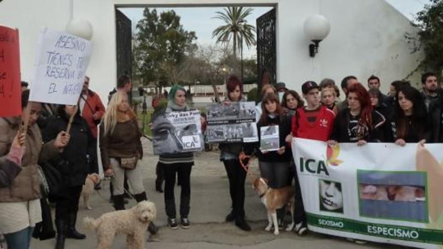 Demonstranten vor der Trabrennbahn in Manacor.