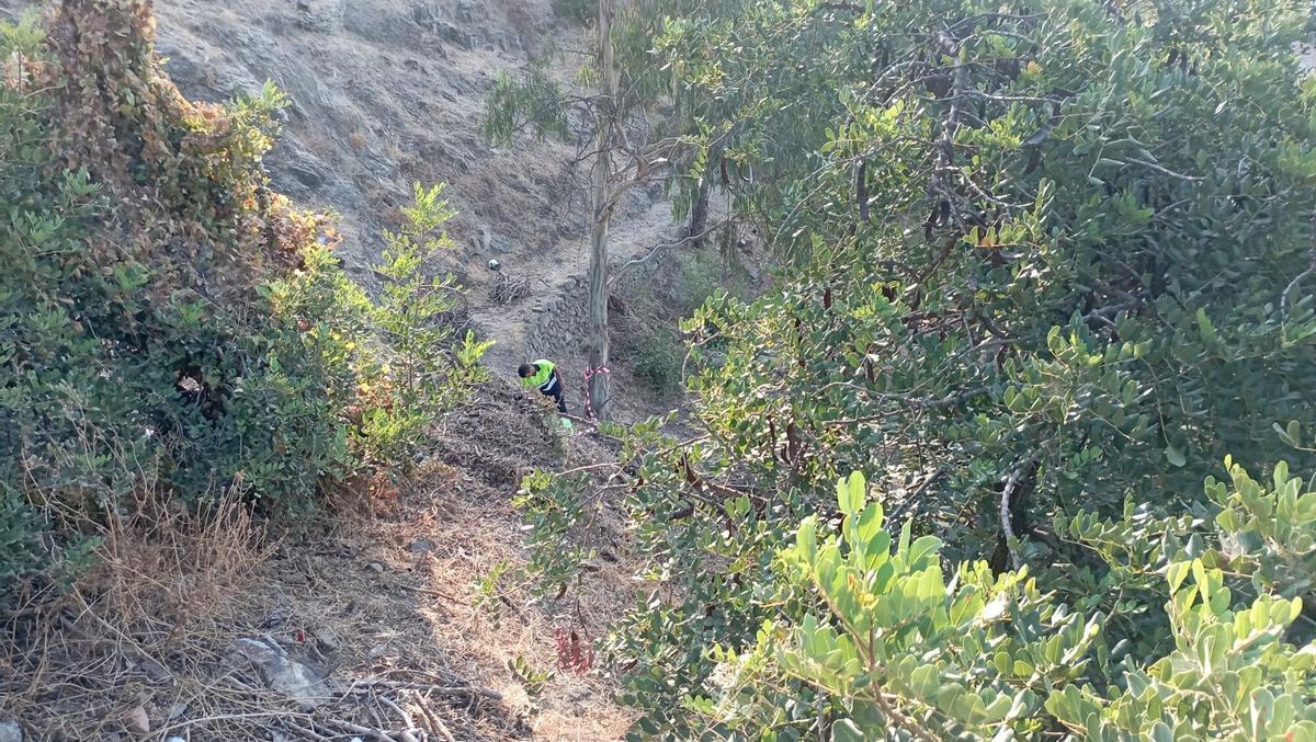 Talas en Gibralfaro.