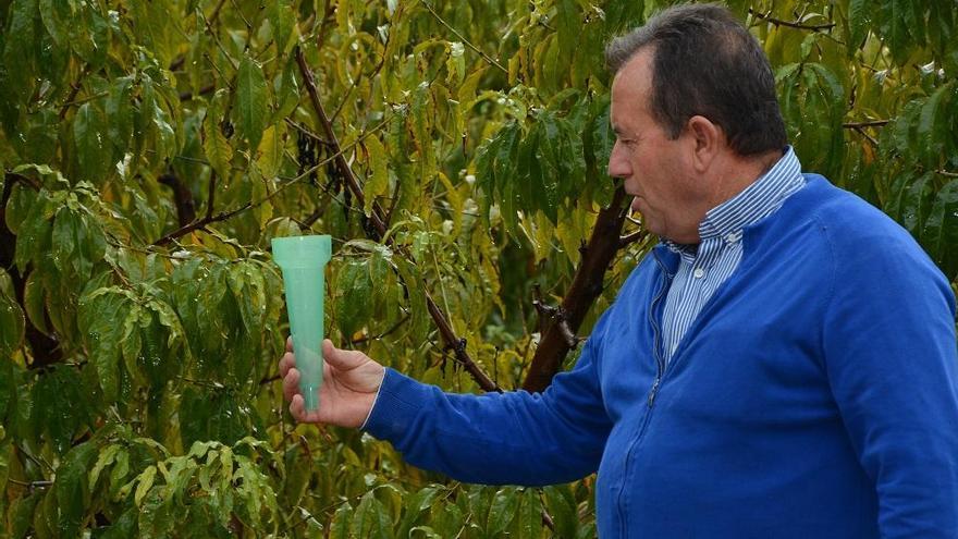 Manuel Martínez, de FECOAM, ayer revisando el agua recogida por un pluviómetro en Cieza.