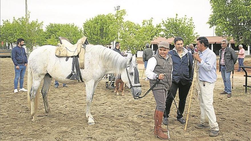 Paseos en burro gratis, hoy en el recinto hípico