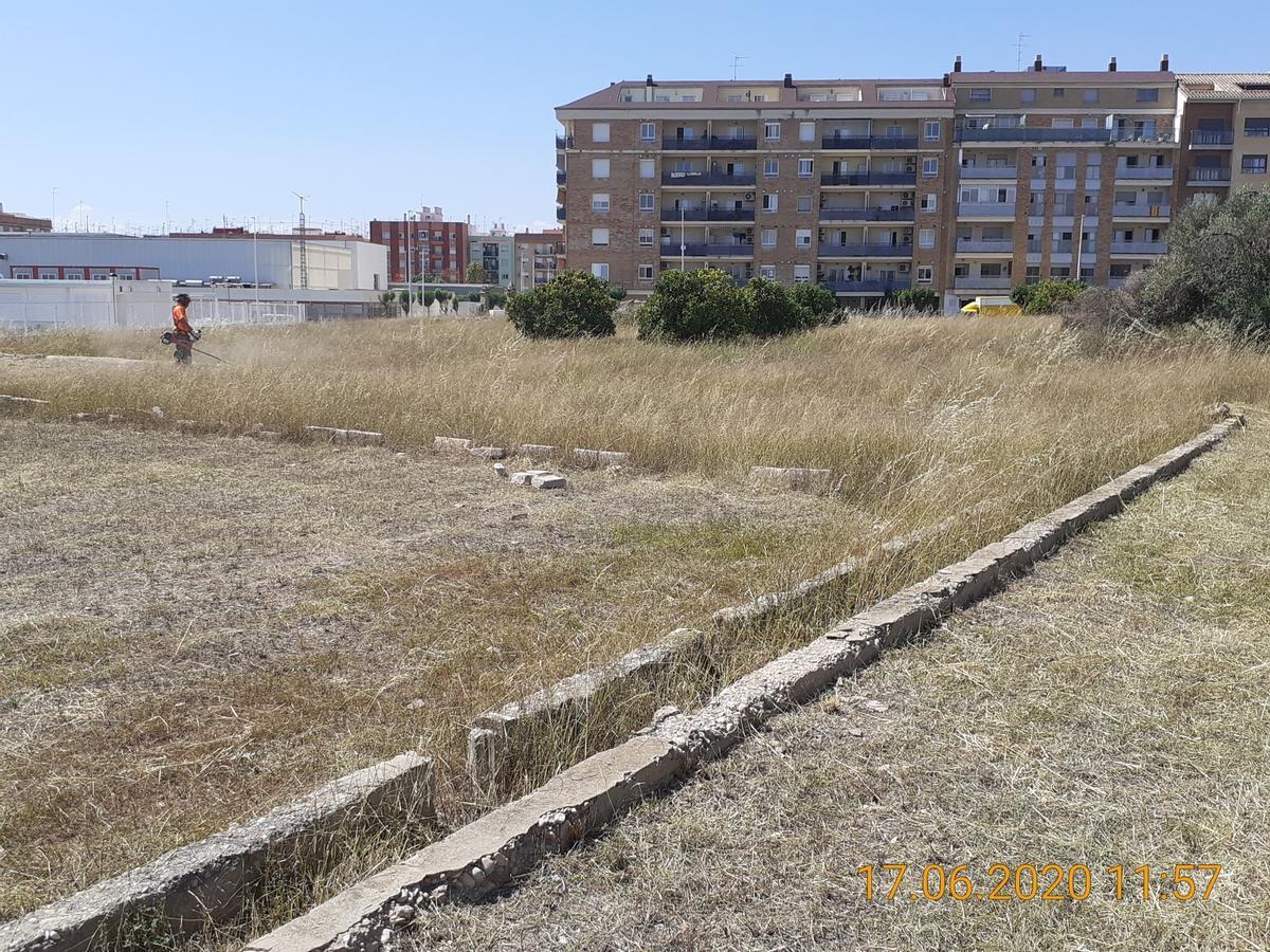 Hort de Pepica donde está el yacimiento.