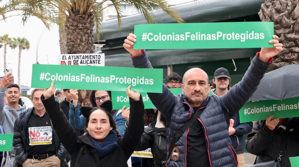Concentración en Alicante por la Ley de Bienestar Animal y las colonias felinas