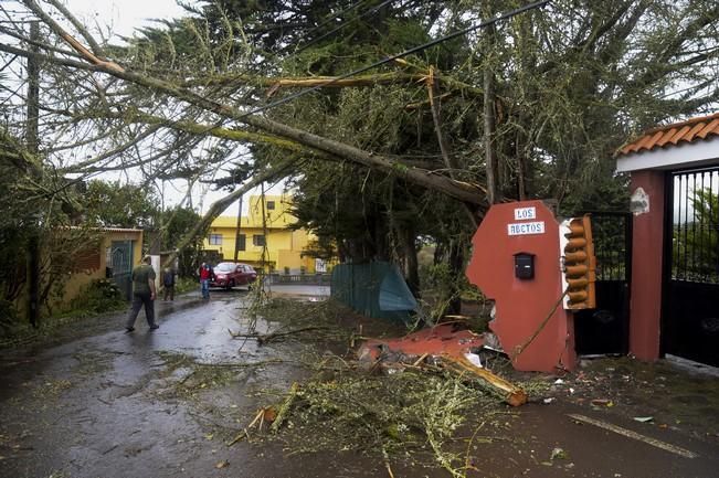 TEMPORAL ZONA NORTE