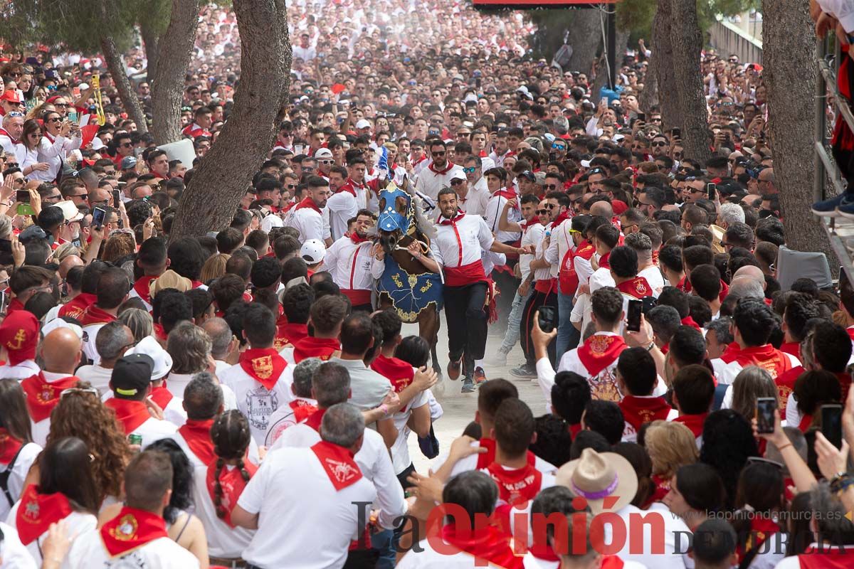 Así ha sido la carrera de los Caballos del Vino en Caravaca