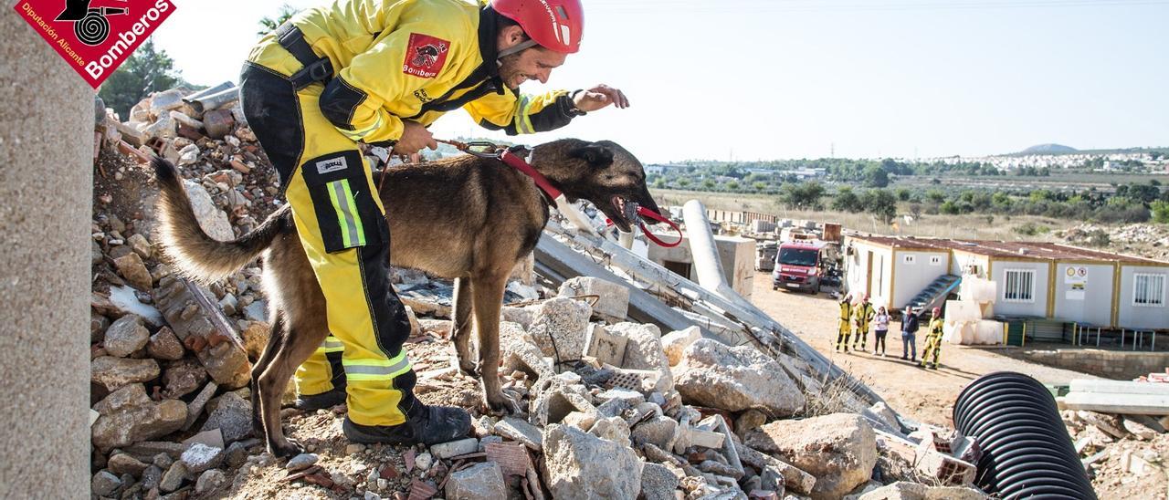 Un bombero sujeta a uno de los perros de la Unidad en una operación .