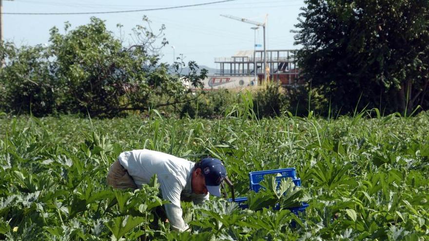 Un estudio de la UCO controla los nitratos en la alimentación infantil