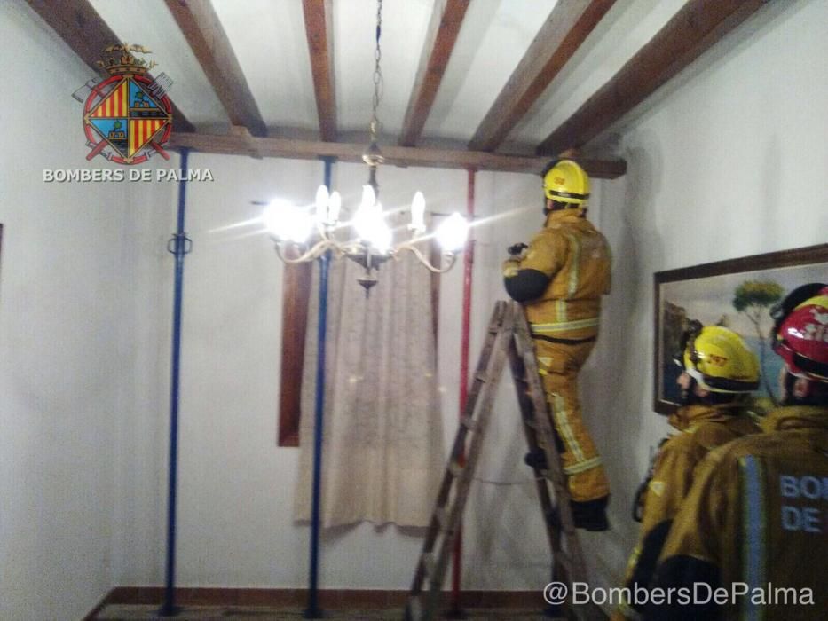 Derrumbes, inundaciones y pinos caídos al paso de la tormenta 'Hugo' por Mallorca