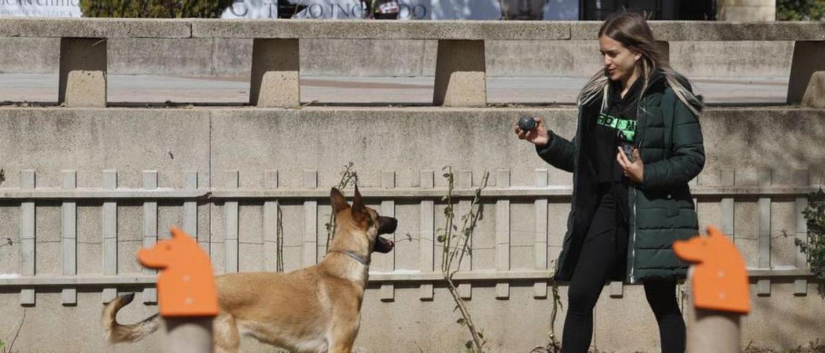 Córdoba alcanzará en seis meses los 13 parques para perros