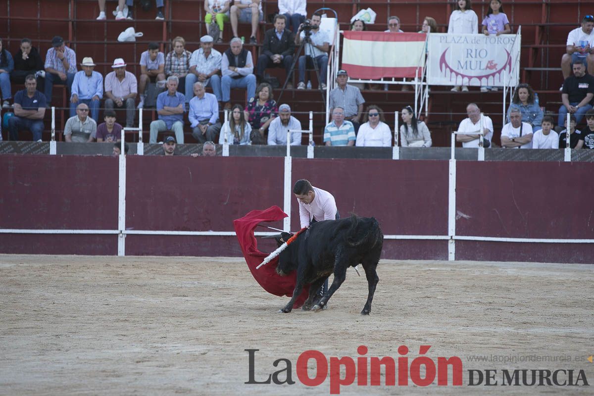 Festival taurino ‘La flor del almendro’ en Mula