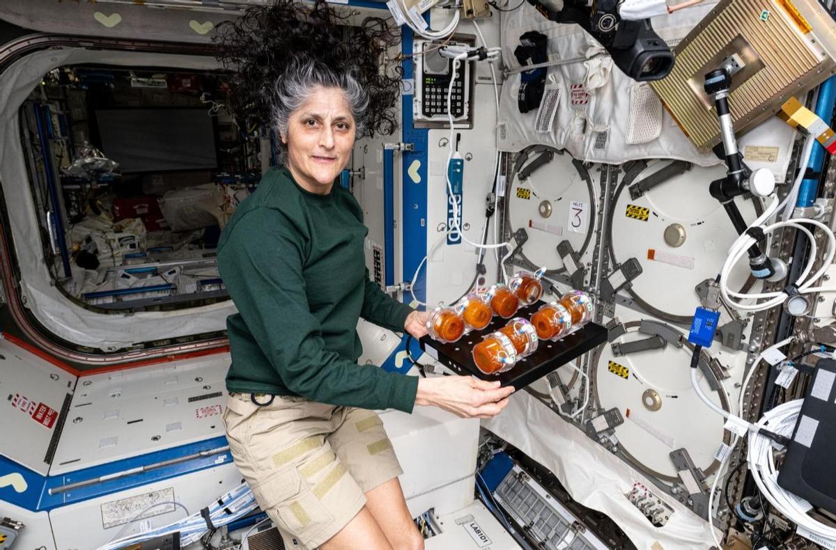 Suni Williams durante sus estudios de vitaminas espaciales en la Estación Espacial Internacional.