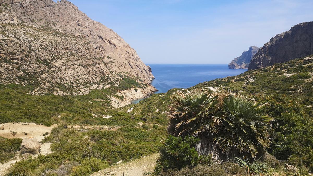 Ab Donnerstag soll das Wandern in den Bergen auf Mallorca wieder problemlos möglich sein.