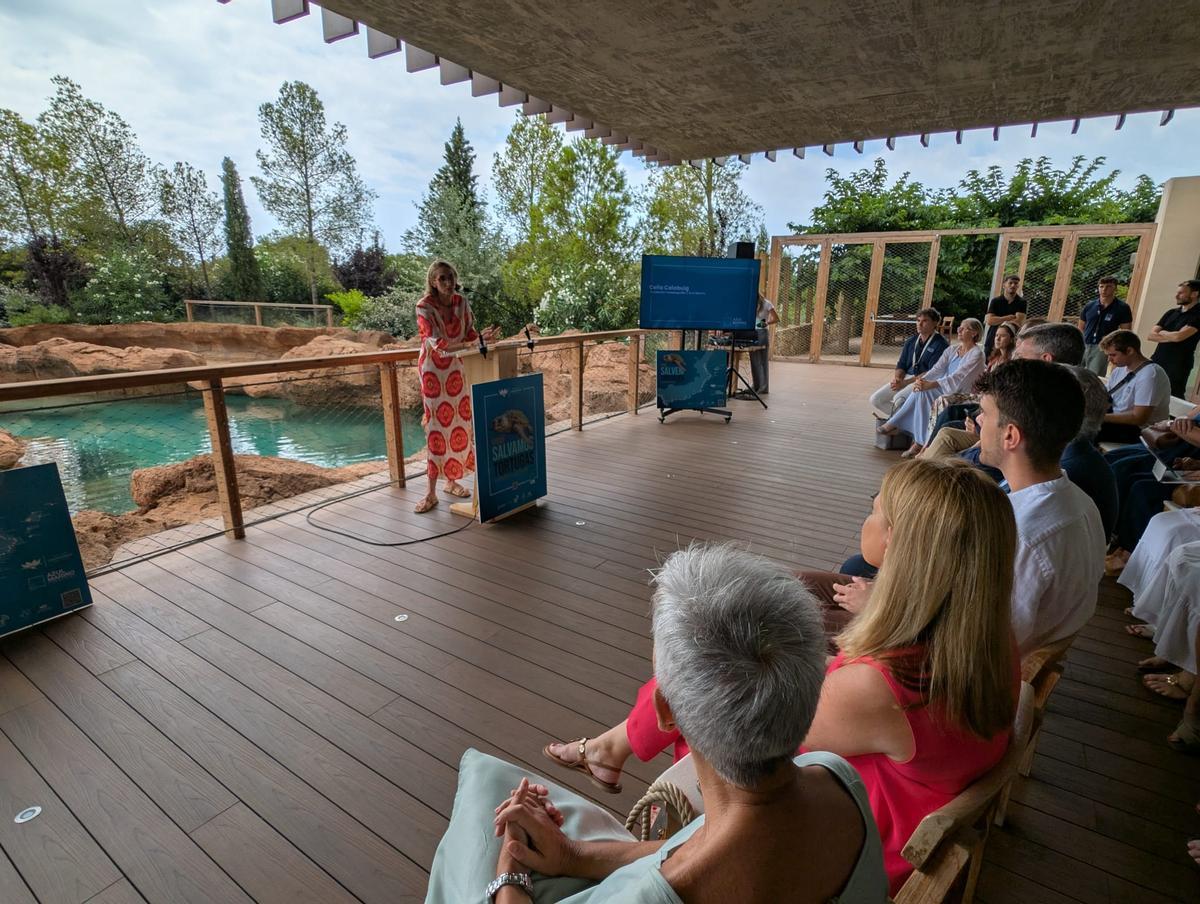 GALERÍA I La presentación de la nueva campaña para rescatar tortugas marinas, en imágenes