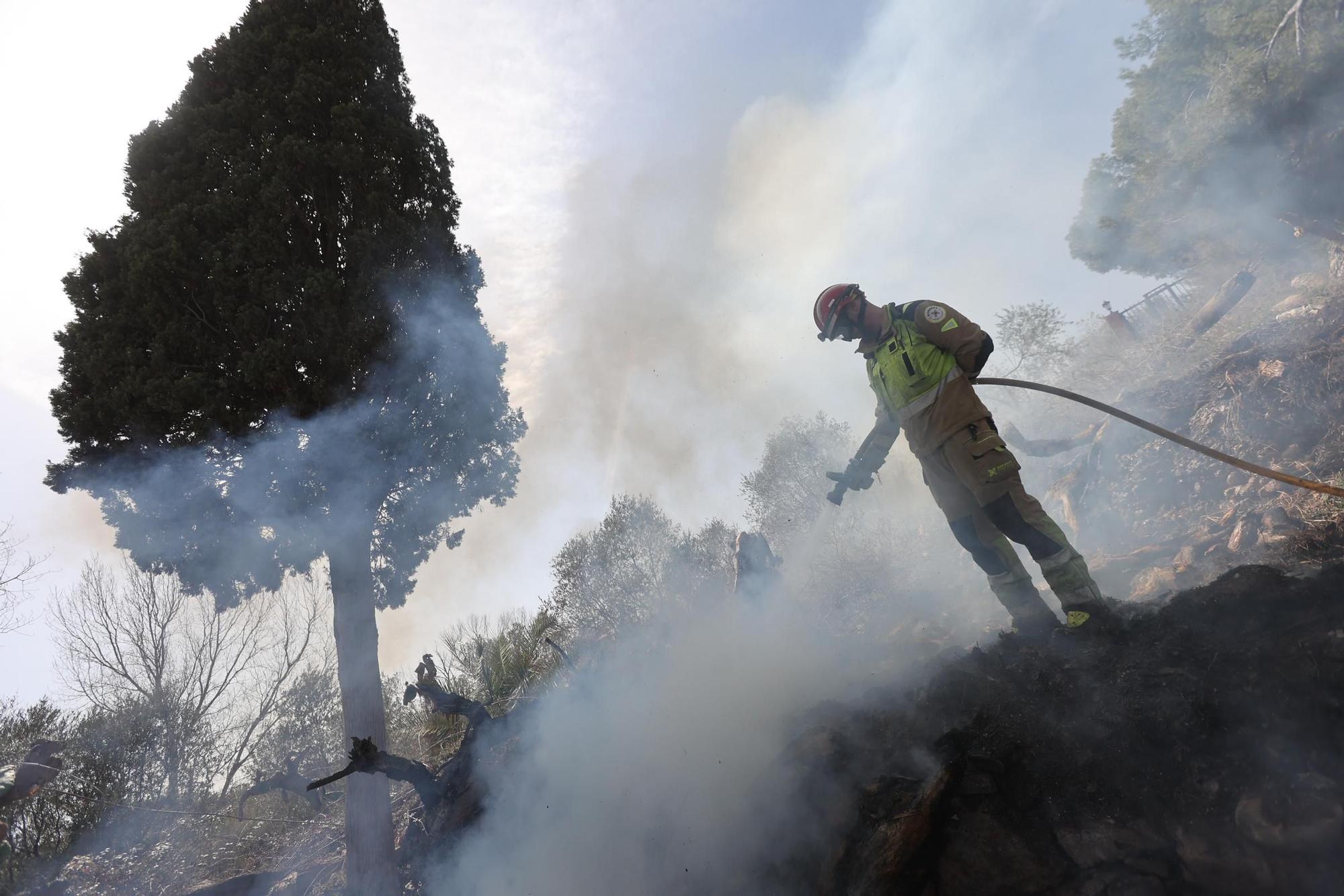 Galería de fotos del incendio forestal en el río Millars entre Vila-real y Almassora