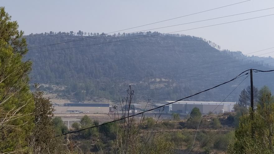 Així ha quedat la zona forestal del Pont de Vilomara afectada per l&#039;incendi del Bages