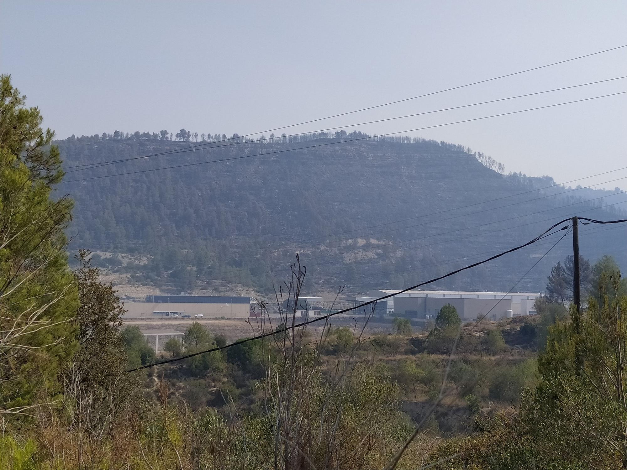 Així ha quedat la zona forestal del Pont de Vilomara afectada per l'incendi