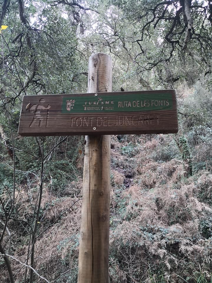 De Navajas a Ain, una ruta por las fuentes