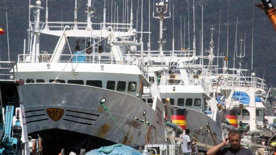 Barcos cefalopoderos atracados en el Puerto de Marín. // Santos Álvarez