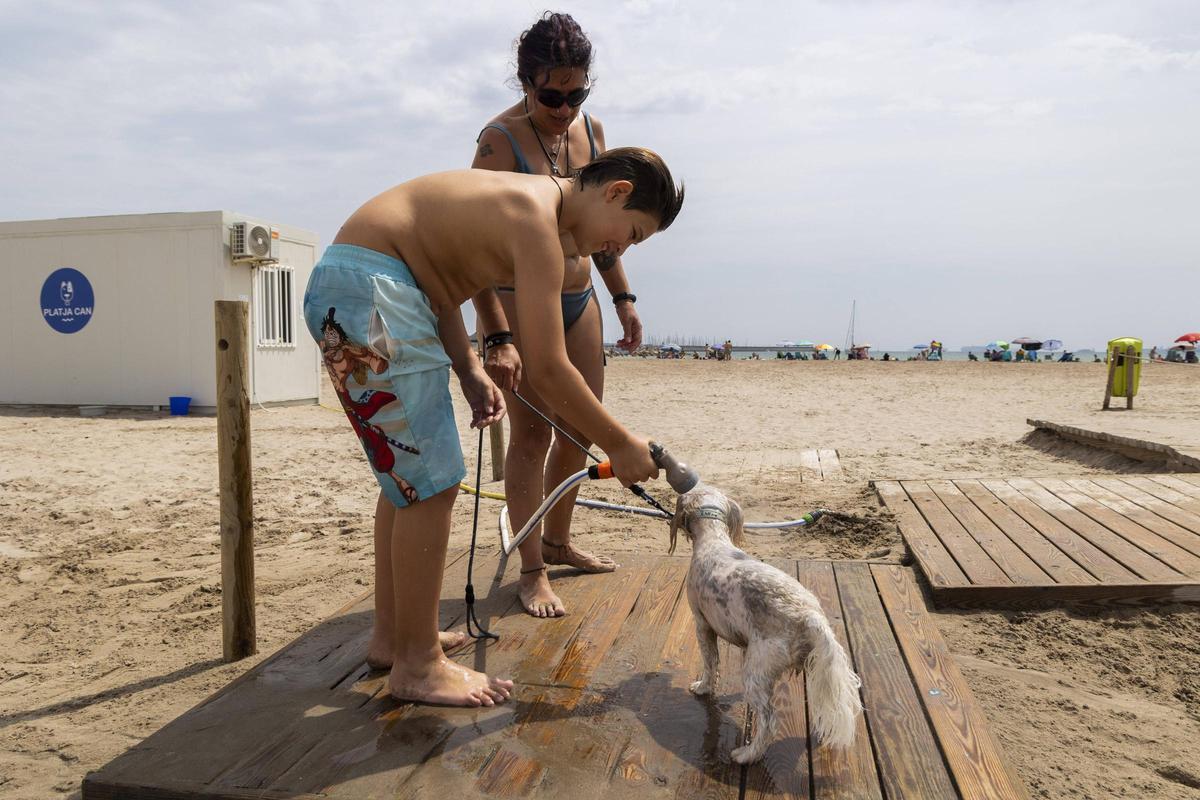 La playa de Perros de Pinedo La playa de Perros de Pinedo