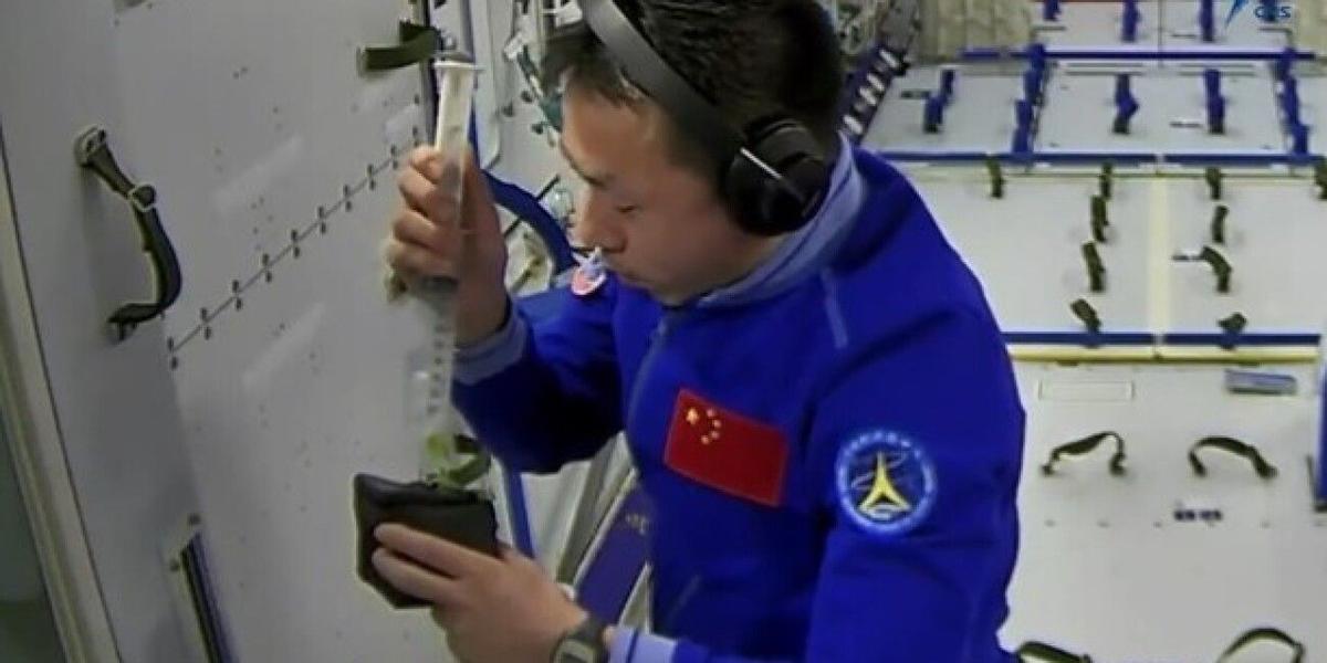 China cultiva arroz en el espacio para alimentar a astronautas en el futuro