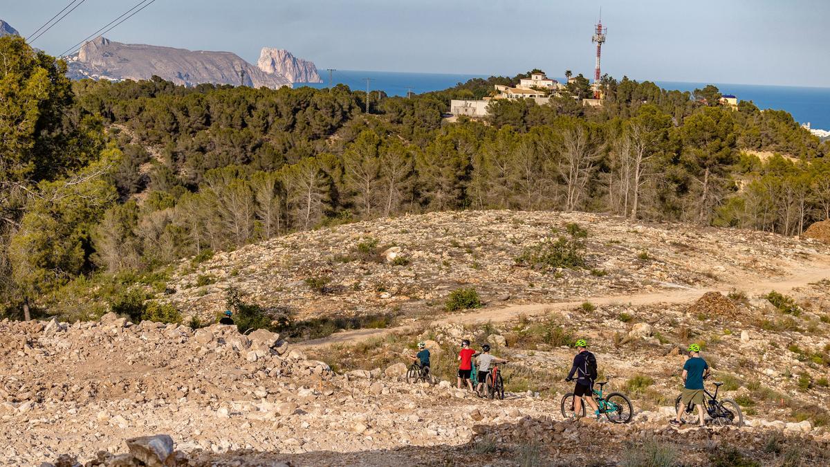 Terrenos afectados por el PAI La Serreta, donde ya se ha talado una ingente cantidad de árboles.