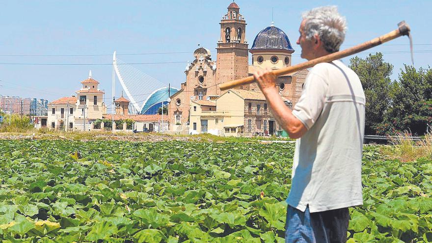 La Abogacía afea al Consell que se use la dana para reformar la ley de l’Horta