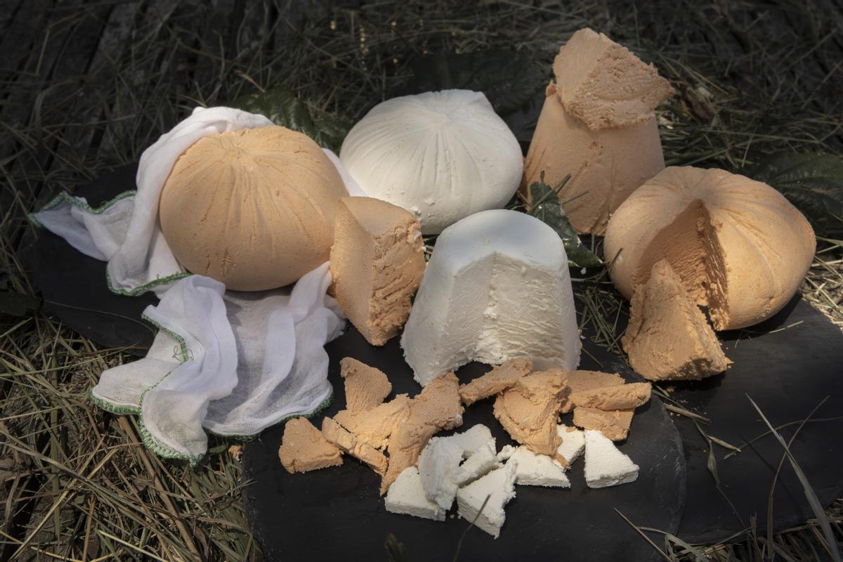 Variedades de Queso Afuega’l Pitu. | Cedida a LNE