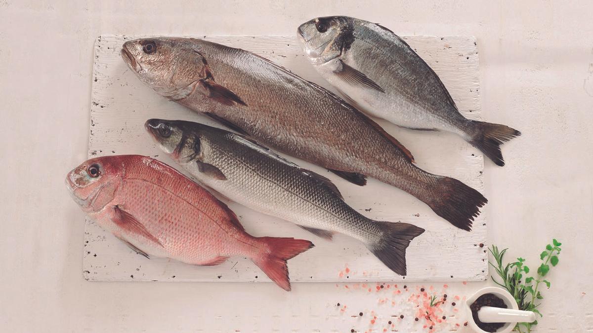 Pargo rosado, lubina, corvinarex y dorada.