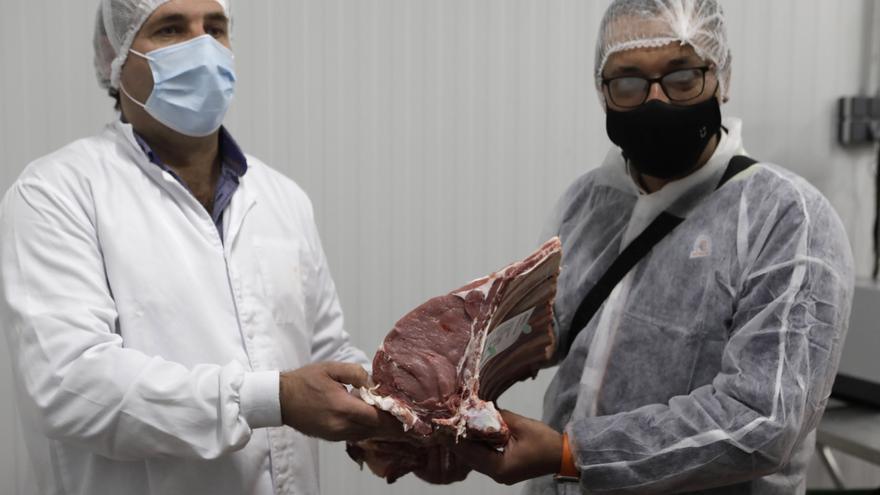 Las vacas de Aramburu entran por la ventana en casa de Jaime Uz - La Nueva España - Vimarsana News