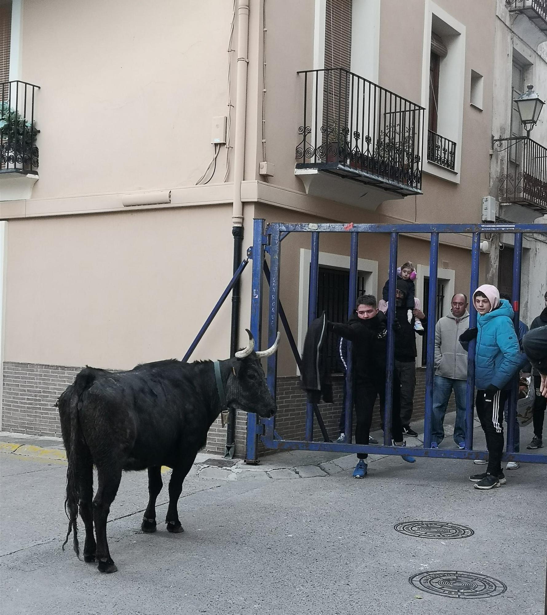 Fin de semana taurina en Navajas por San Antón