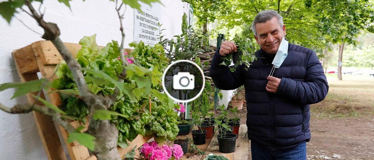 Productos de la finca de Alborada de agricultura ecológica en la lucha contra las conductas adictivas