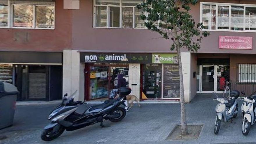 Moren més d’un centenar d&#039;animals en l&#039;incendi d&#039;una botiga de mascotes de Barcelona