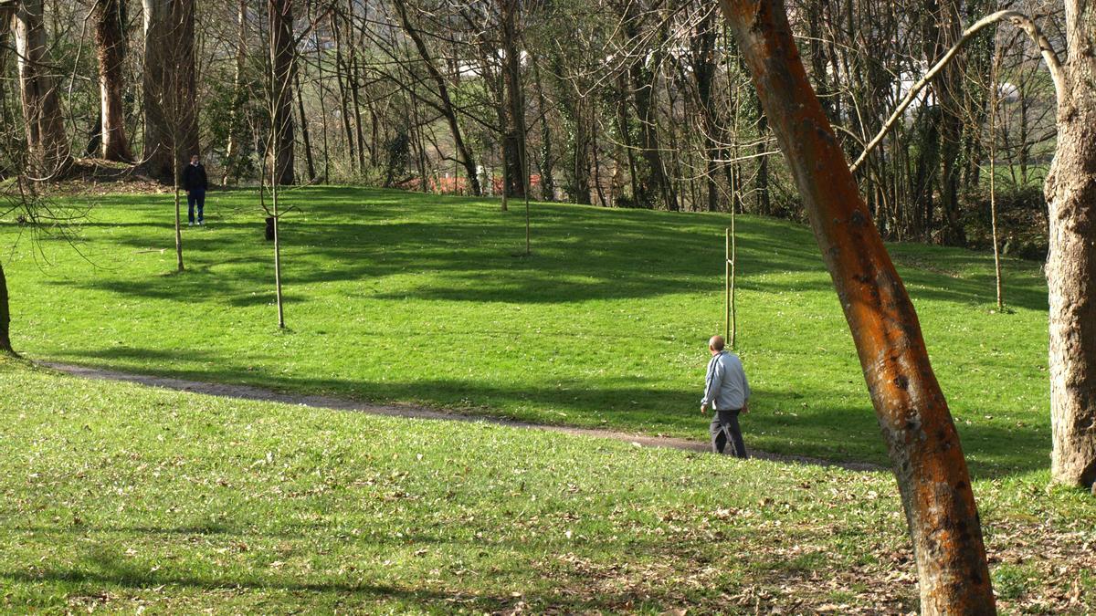 Bosque de La Acebera, en Lugones.