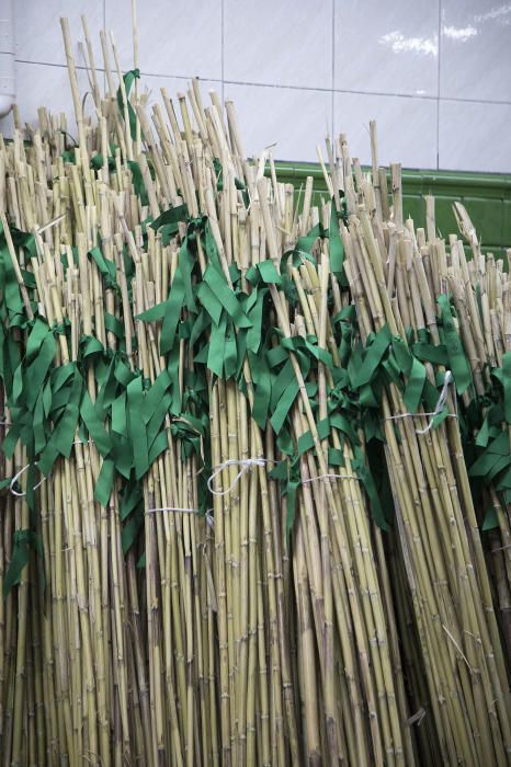 Magdalena 2019: Romeria de les canyes