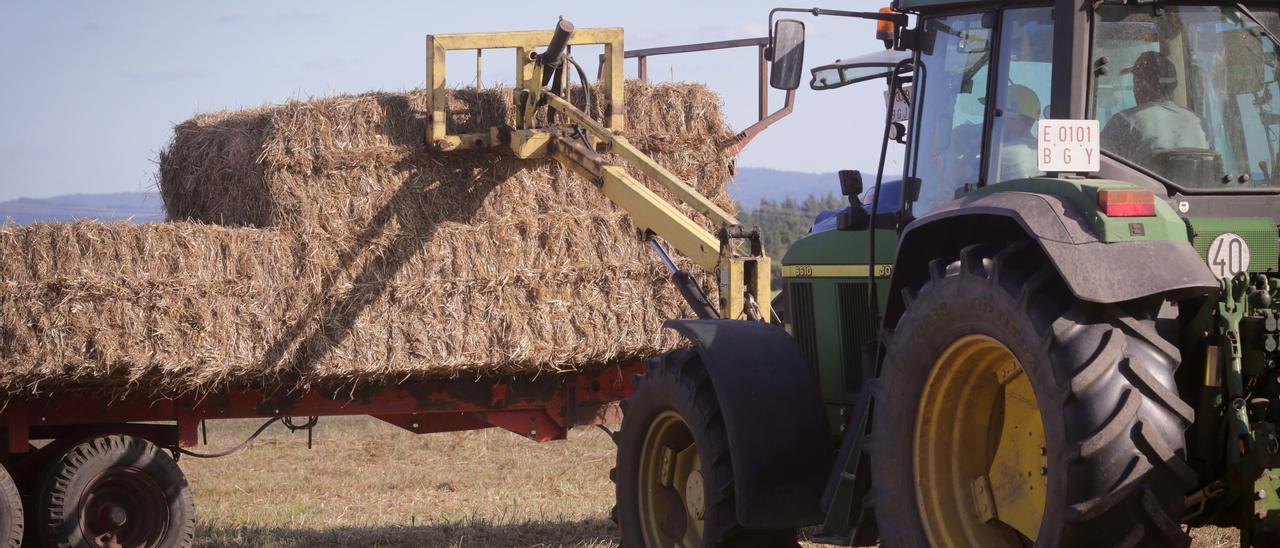 Un tractor durante la recogida de trigo en la parroquia de Calvo, a 31 de julio de 2023, en Abadin, Lugo, Galicia (España).