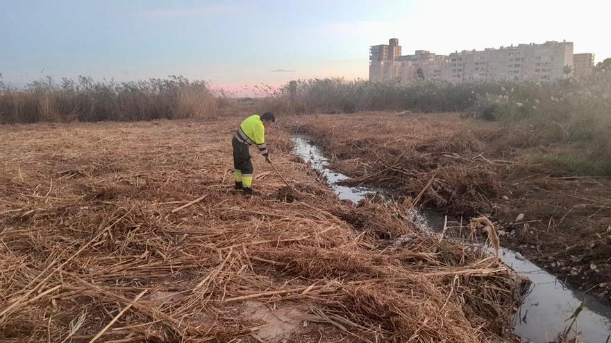 Un operario durante las labores para acabar con el atasco en la desembocadura del río Seco