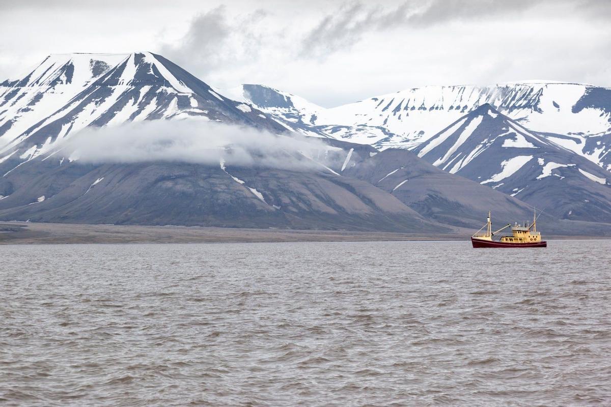 Bahía Longyearbyen Svalbard