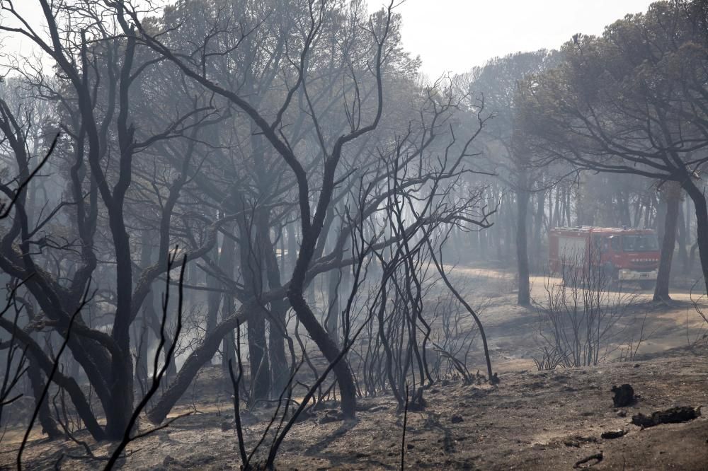 Incendi forestal a Blanes