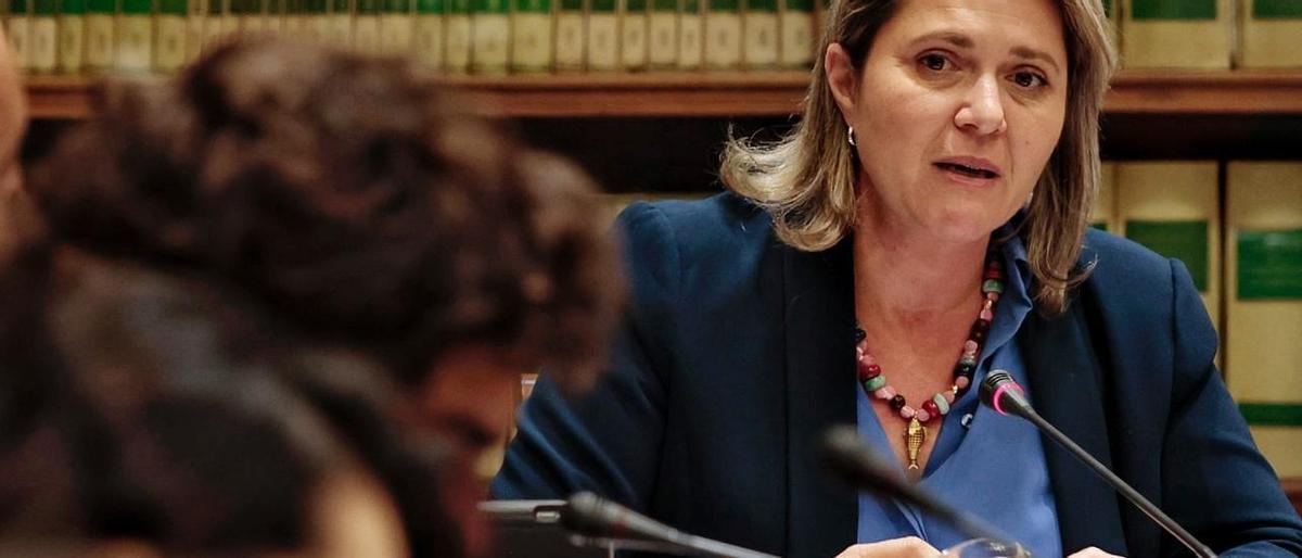 Cas Mediador: Canàries nega que s’hagin detectat irregularitats en la gestió de Ramaderia