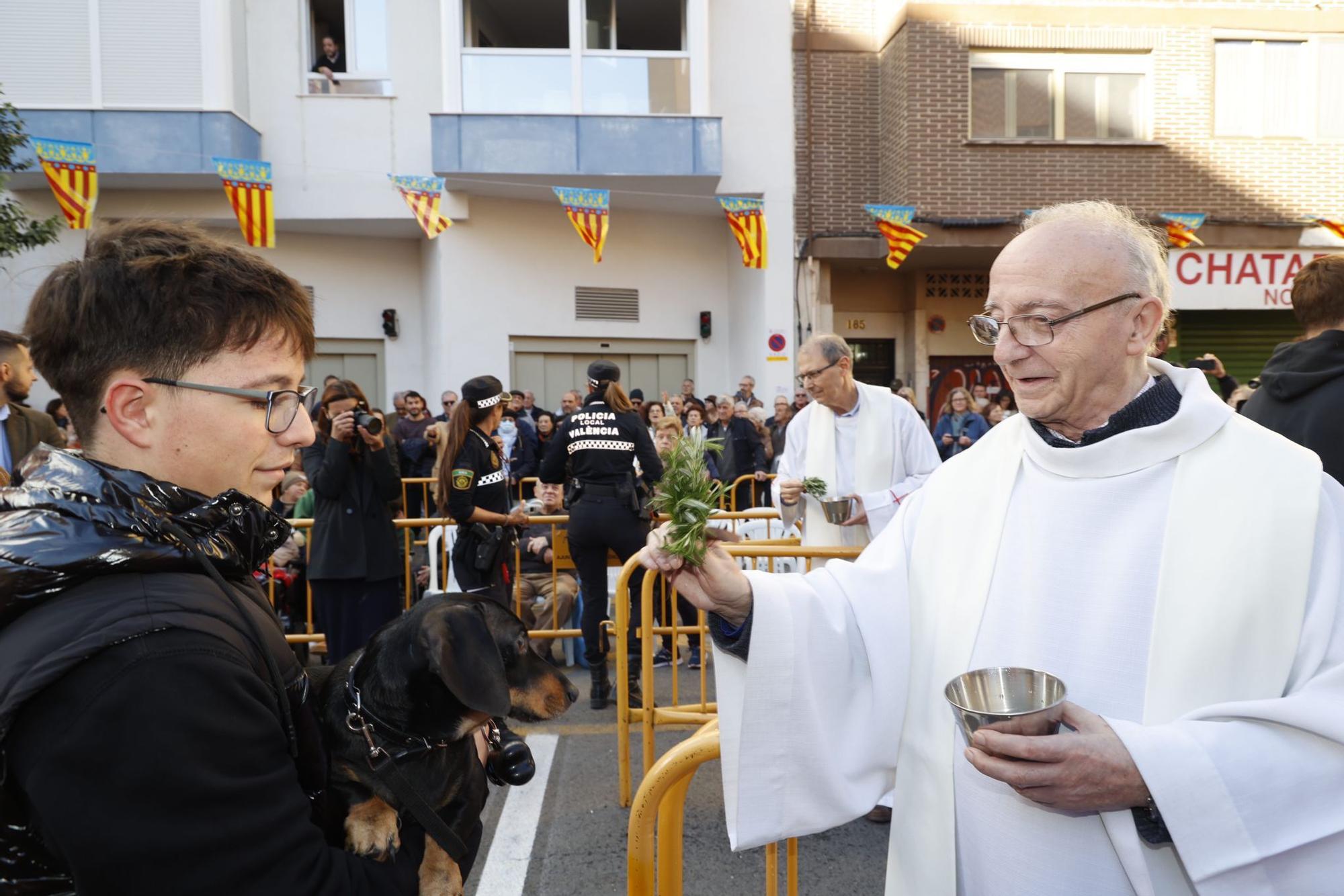 Búscate en la bendición de animales de Sant Antoni de València