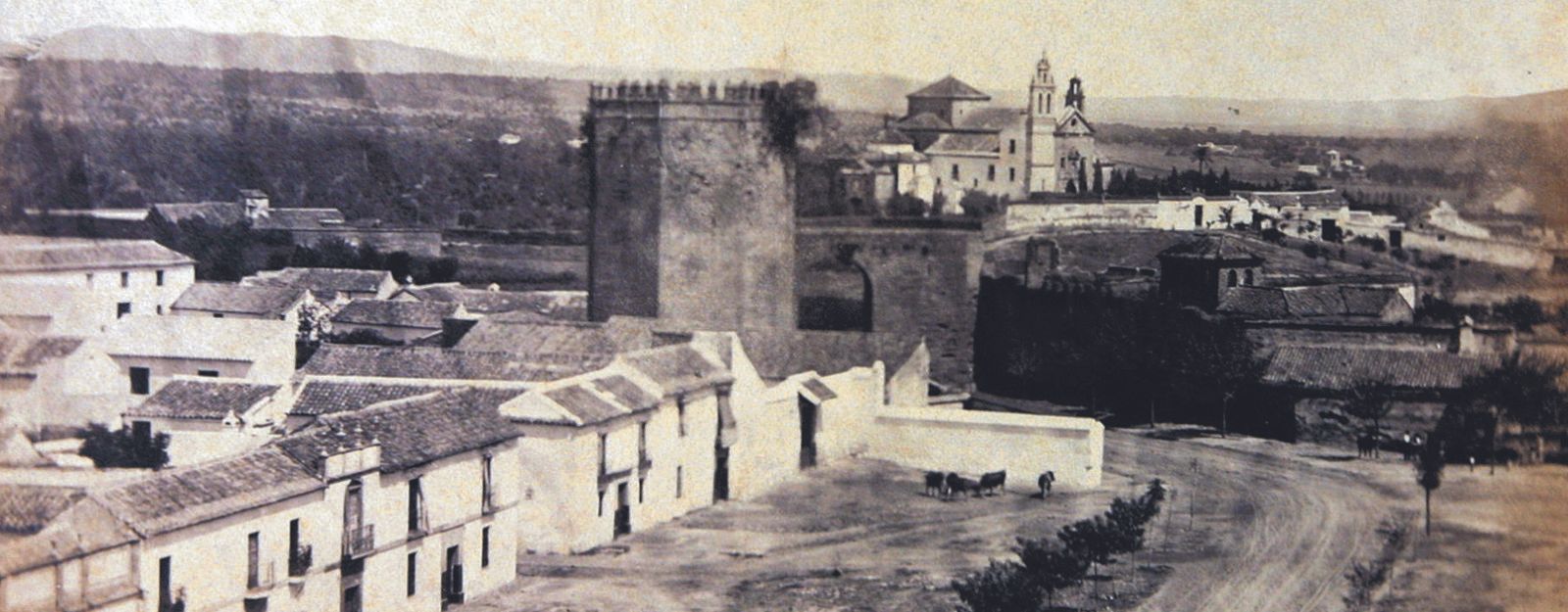 Paisaje: Una vista del Campo de la Merced con la Torre de la Malmuerta y el convento de San Cayetano.