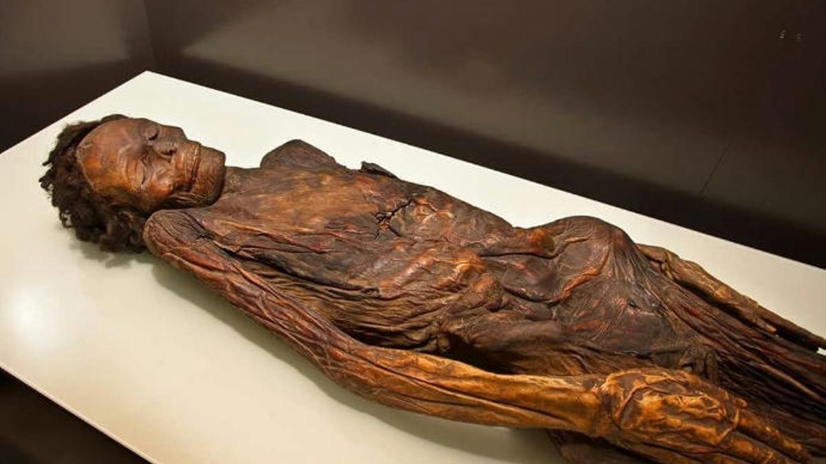 Momia guanche del Barranco de Erques