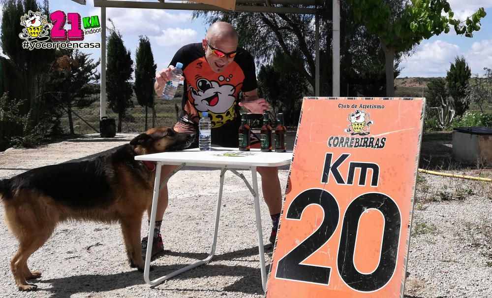 Correbirras en cuarentena