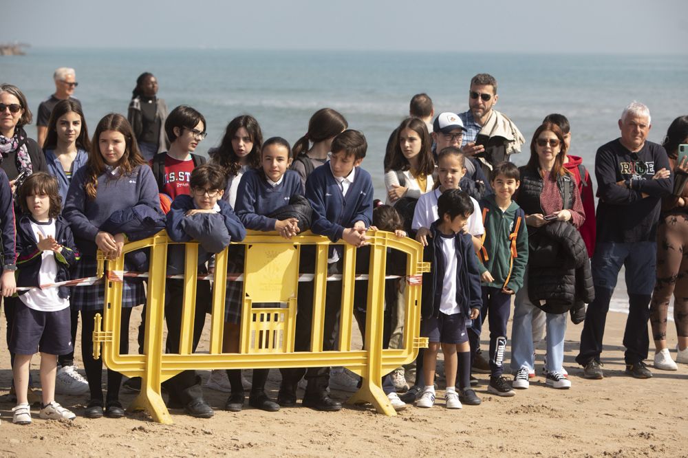 Suelta de tortugas en la playa del Port de Sagunt