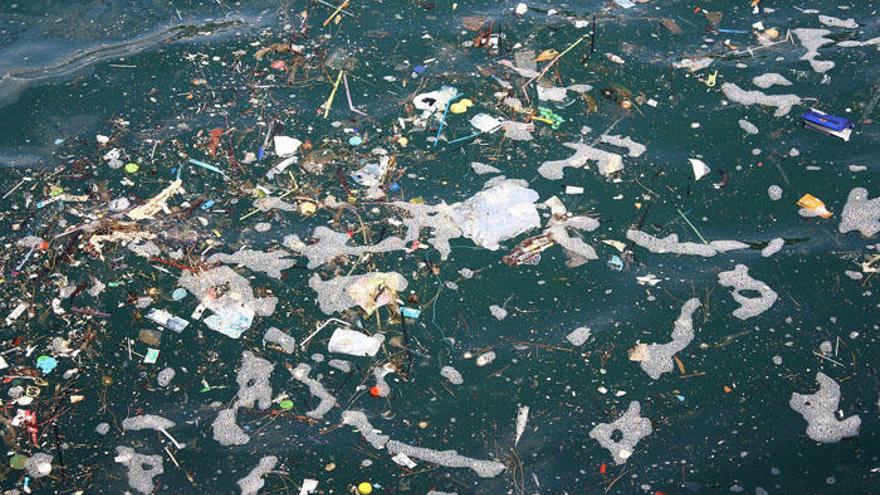 Las redes de plástico se convierten en una trampa mortal para una tortuga en las aguas del Mar de Alborán.