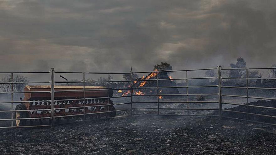 Nave ganadera de Carbajosa de donde se sacaron las vacas. | Emilio Fraile