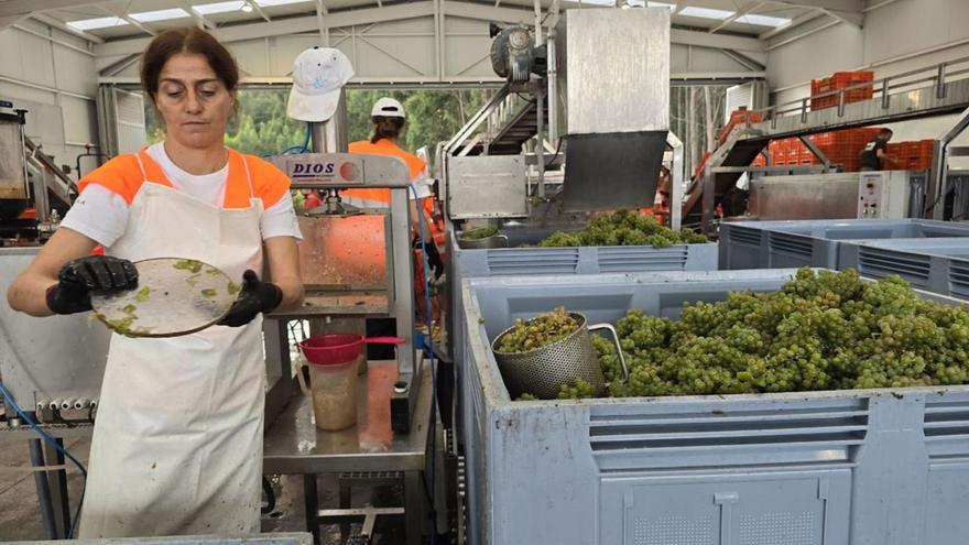 «iWine», el vino de Paco &amp; Lola que se enriquece con el hielo