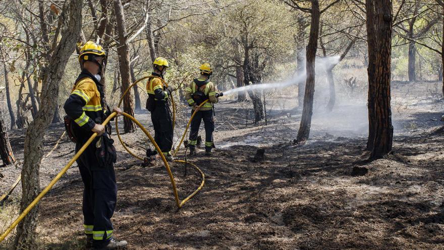 Els Bombers han fet més de serveis per incendis de vegetació el 2023